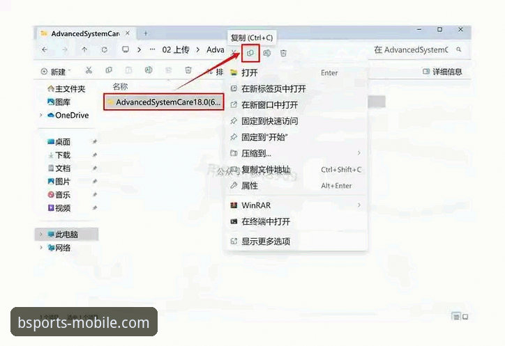 BSports体育平台安卓版免费下载与使用详解